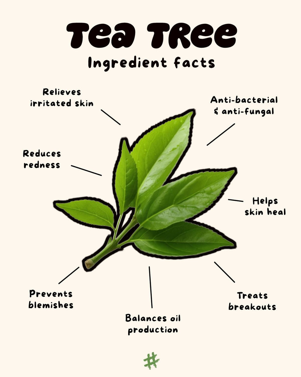 Rice & Tea Tree Cleanser