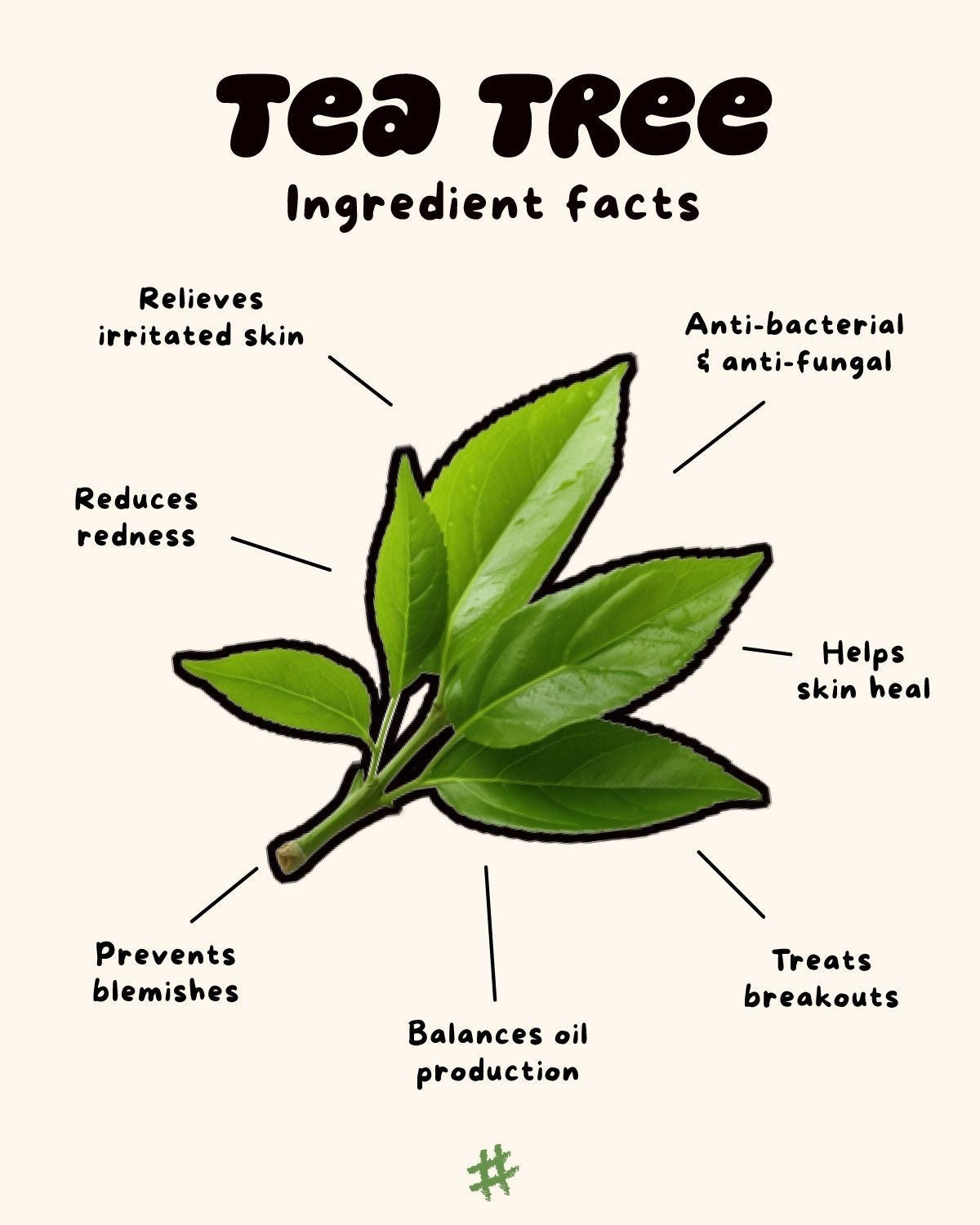 Rice & Tea Tree Cleanser